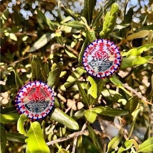 Houston Texans Earrings